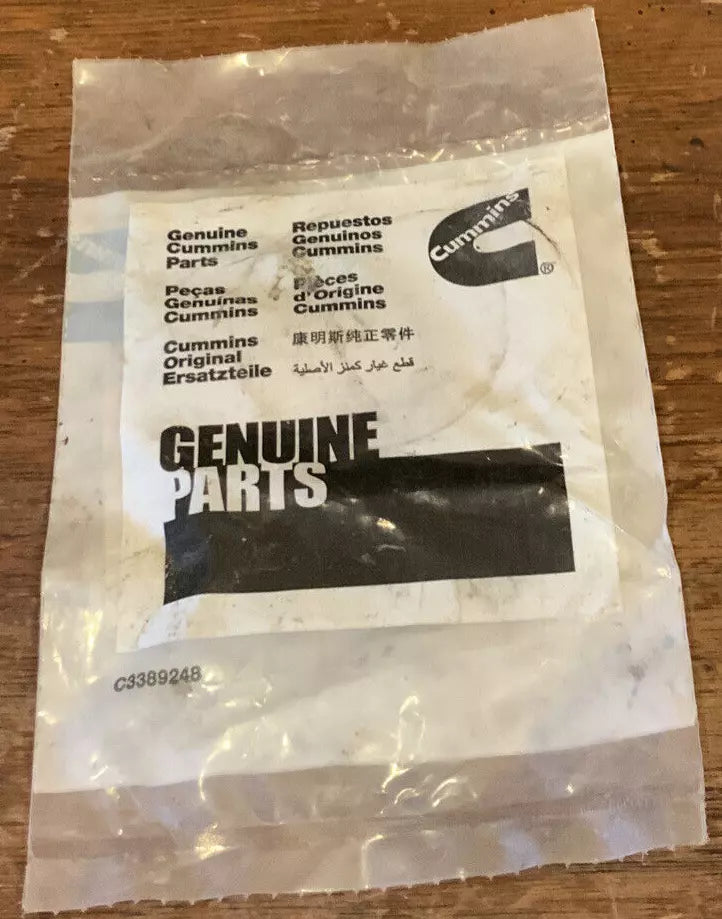 Cummins O-Ring Seal image 1