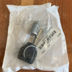 OEM International Cylinder Lock IGN SW W/Key