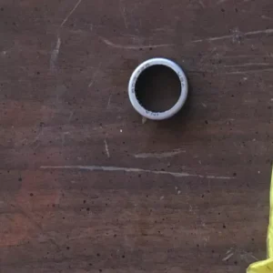 CAT Roller Bearing
