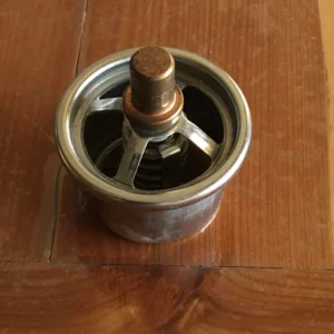 Caterpillar Regulator-TE Thermostat